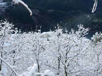 Apartamento Casas Do Soito