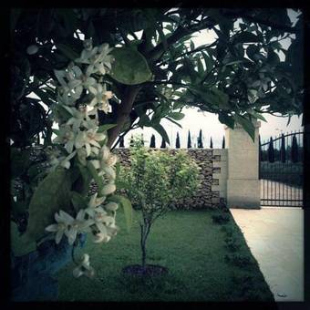 Hostal Masseria San Polo