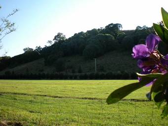 Agroturismo Crystal Creek Country Stay