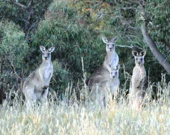 Hostal Eden Park Views