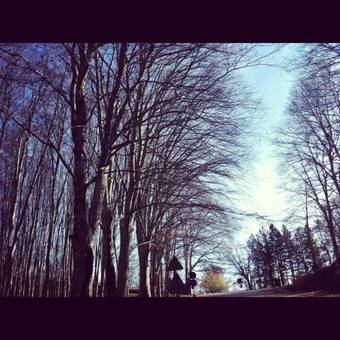 Agroturismo Da Ronald ... A Pian Del Papa