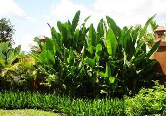 Hotel Saimoonbury Resort