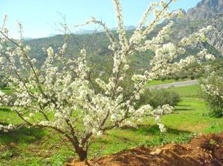 Agroturismo Cortijo Las Monjas