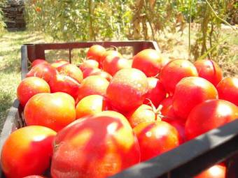 Hostal Agriturismo Ponterosa