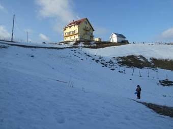 Hostal Pensiunea Pui De Urs Sirnea