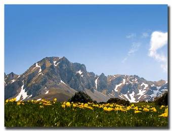 Agroturismo Corrada Torales