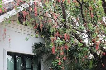 Hotel Chayada Garden House And Resort