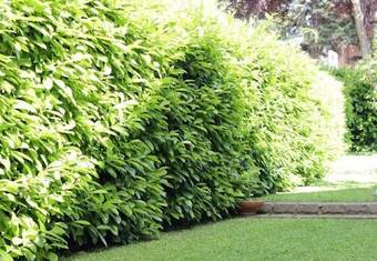 Bed & Breakfast La Casa Di Muro