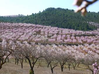 Agroturismo La Casa De La Florencia