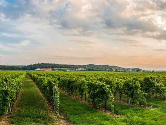 Agroturismo Agriturismo Tenuta La Presa