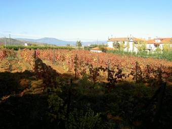 Agroturismo Casa Da Capela De Cima