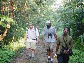 Hotel Mahoora Tented Safari Camp - Sinharaja