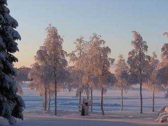 Uitonpuisto Holiday Home