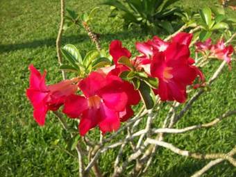 Hotel Hilda Guest House