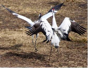 Bed & Breakfast Sj�backen G�rd