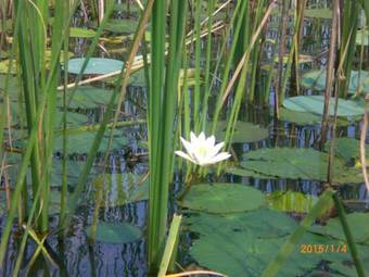 Rekawa Village In Hotel