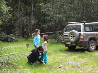 Hostal Pear Tree Cottage Bed And Breakfast