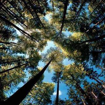 Agroturismo Hotel Casa De La Oma