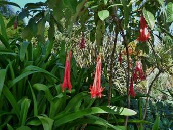 Motel The Church Accommodation