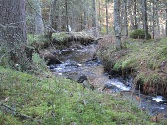 Apartamento Eriksdotters Brukslogi