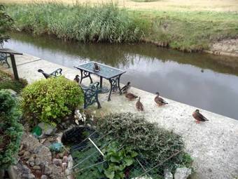 Hostal Waterside Guesthouse