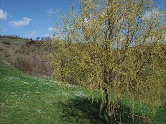 Apartamento Ulivi 2
