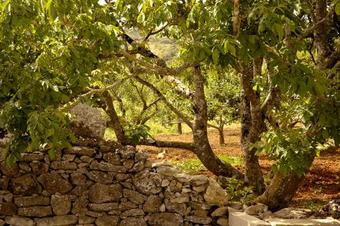 Hostal Casal Da Serrana