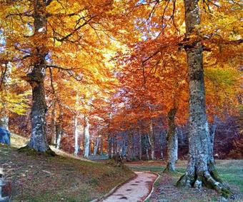 Agroturismo Casa Tetxe
