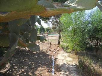 Hostal Masseria Le Palmentelle