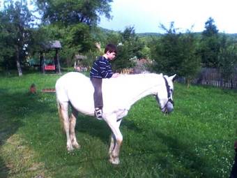 Hostal Surasul Muntelui