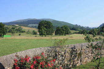 Agroturismo Llosa De Ibio