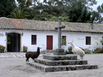 Posada Hacienda La Cienega