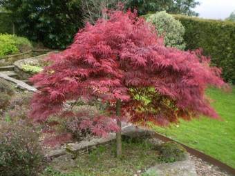 Agroturismo Posada Rural La Socarrena