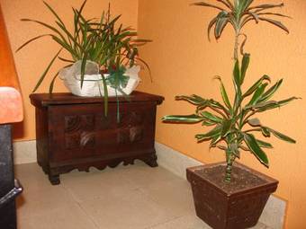 Agroturismo Casa Rural Alustiza