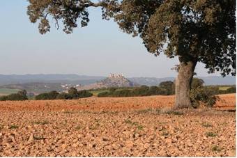 Agroturismo Casa Rural Montecillo Bajo