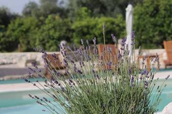 Hostal Agriturismo Masseria Saittole