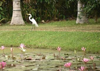 Eco Hotel Cosmogenesis