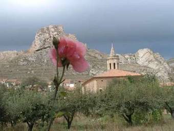 Agroturismo Hotel Rural El Horno De Aliaga