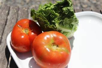 Bed & Breakfast Casa La Nuez