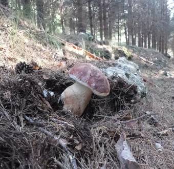 Agroturismo Casa Rural Con Encanto "los Postigos"