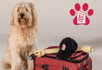 Hotel Red Roof Inn Plus Washington Dc - Manassas