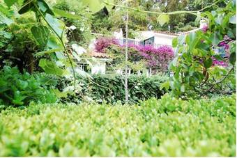 Agroturismo Casa De Esteiro