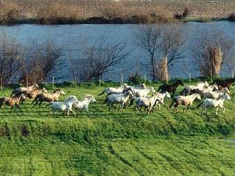 Agroturismo Quinta Das Arribas