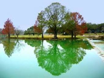 Hotel Blanco Riverside Cottages