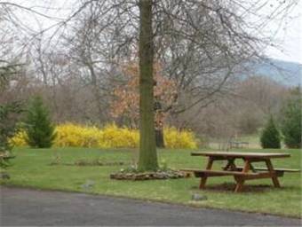 Motel Fairfield Lodge