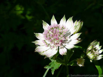 Bed & Breakfast L'epic�a