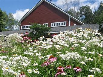 Posada The Stamford Motel