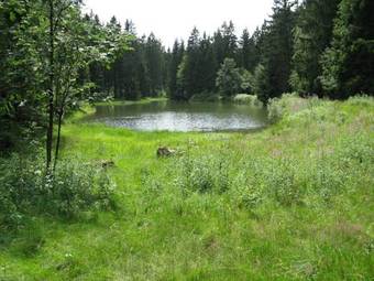 Hotel Zum Forsthaus