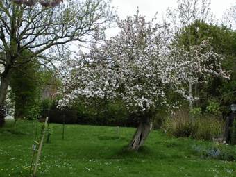 Apartamento Neefelder Diekskroog