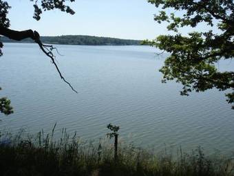 Buxusson Resort - Holiday Village Martina